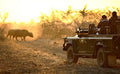 Featured image.
