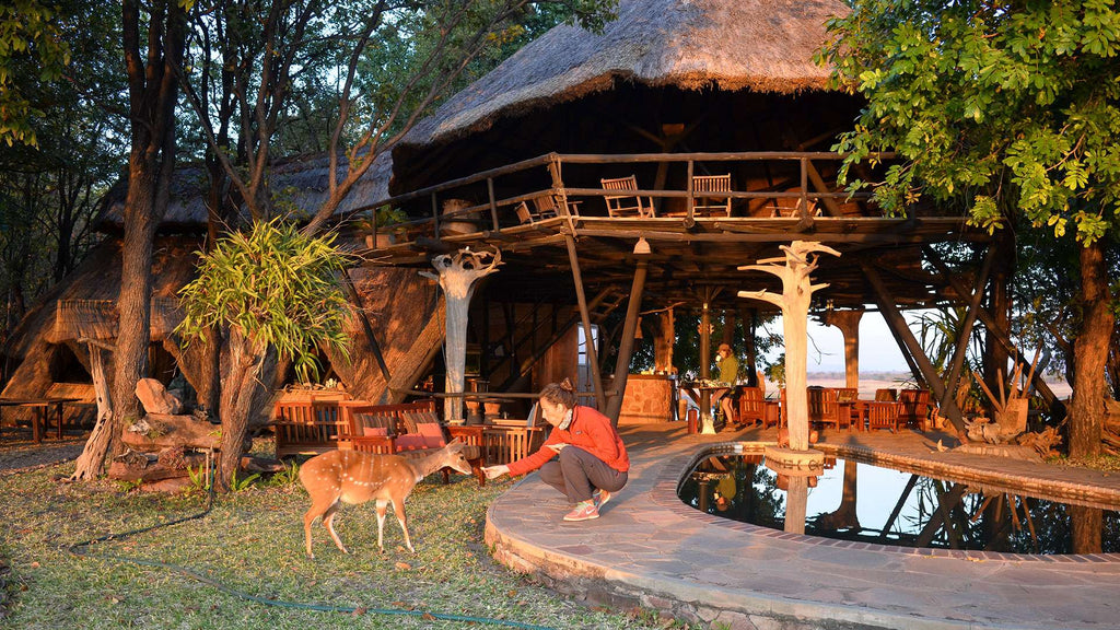 Musango Safari Camp