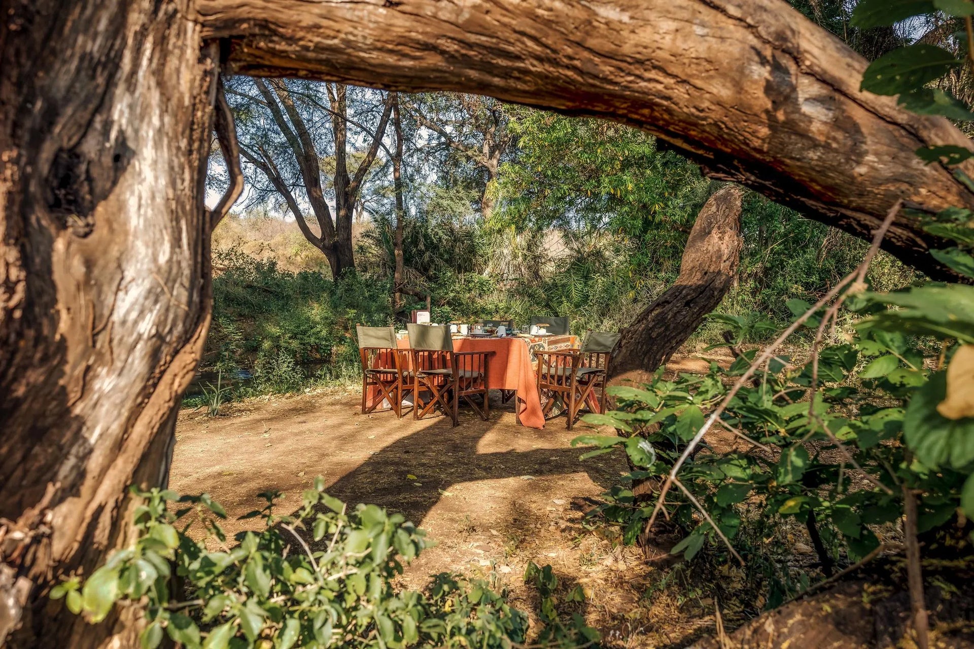 Elsa’s Kopje Meru Bush Breakfast at Elewana Elsa’s Kopje Meru, Meru National Park, Kenya.