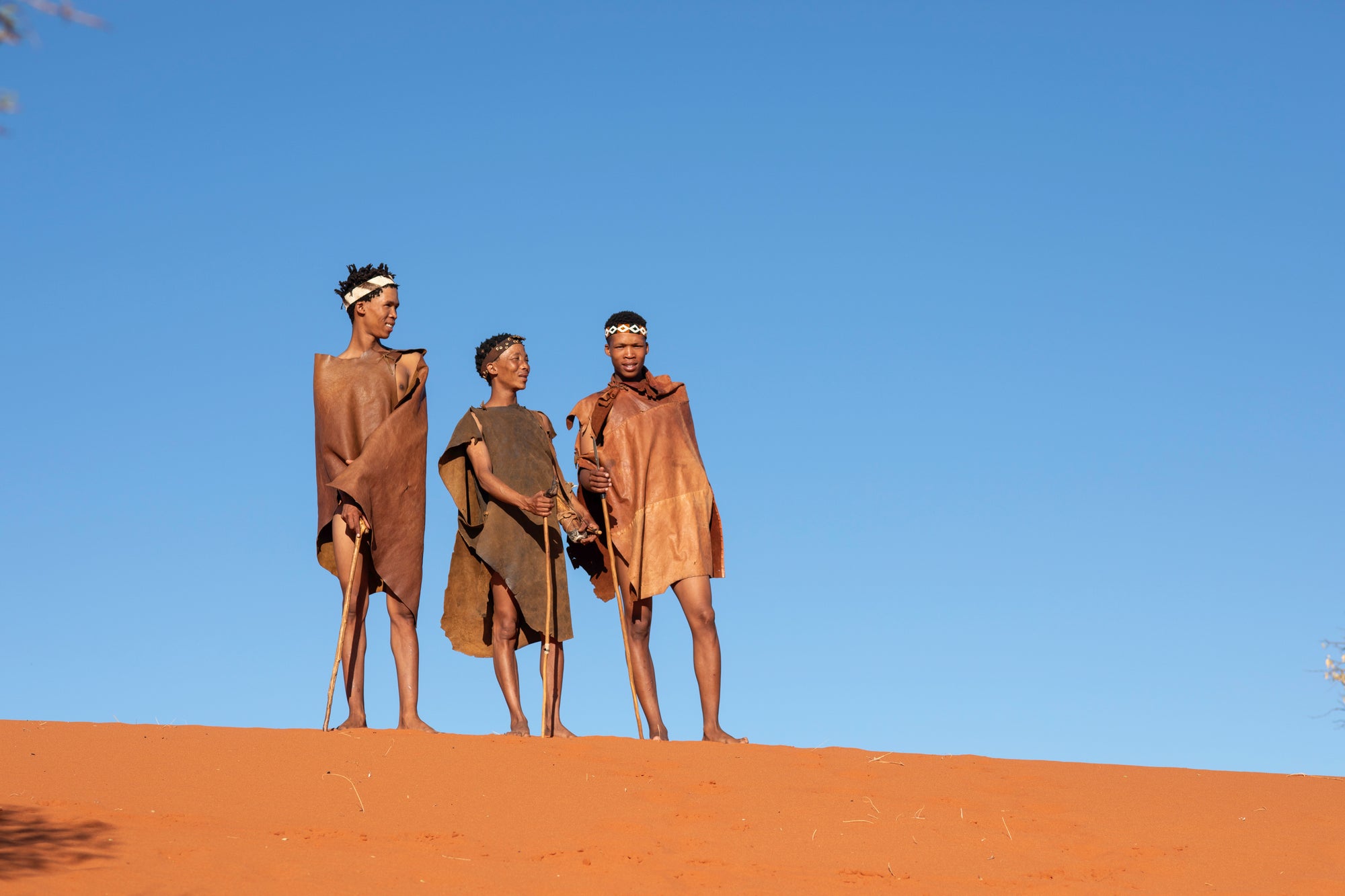 Morning Bushman Walk