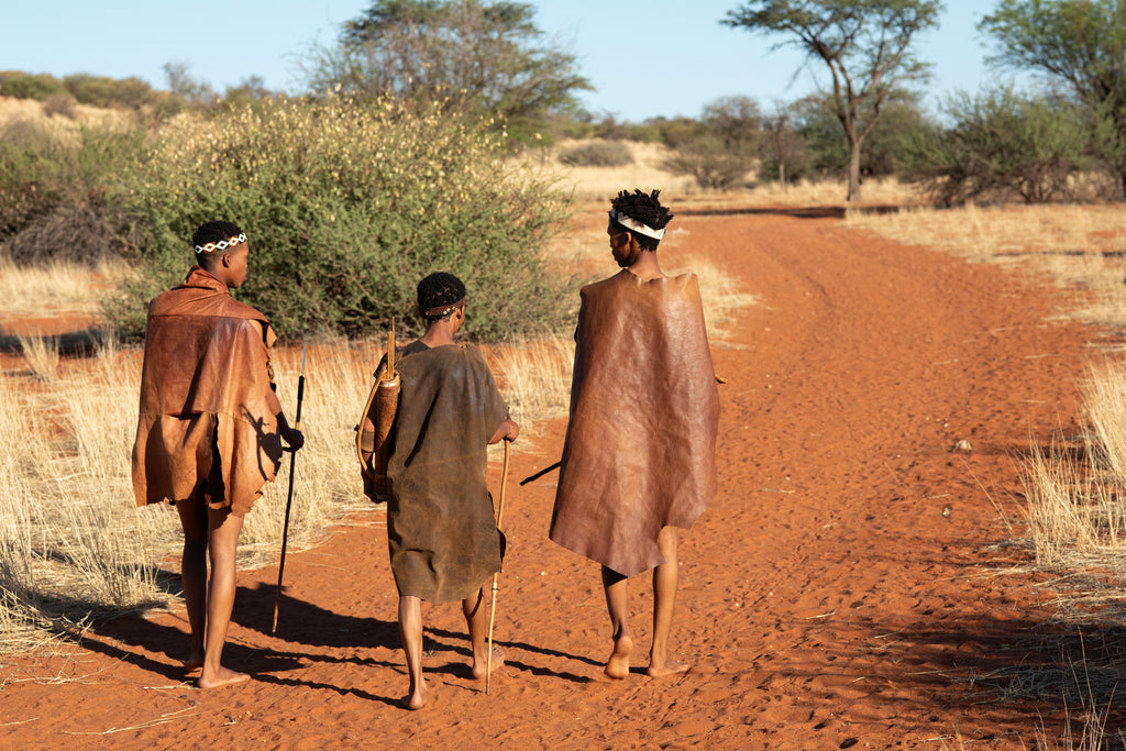 Morning Bushman Walk