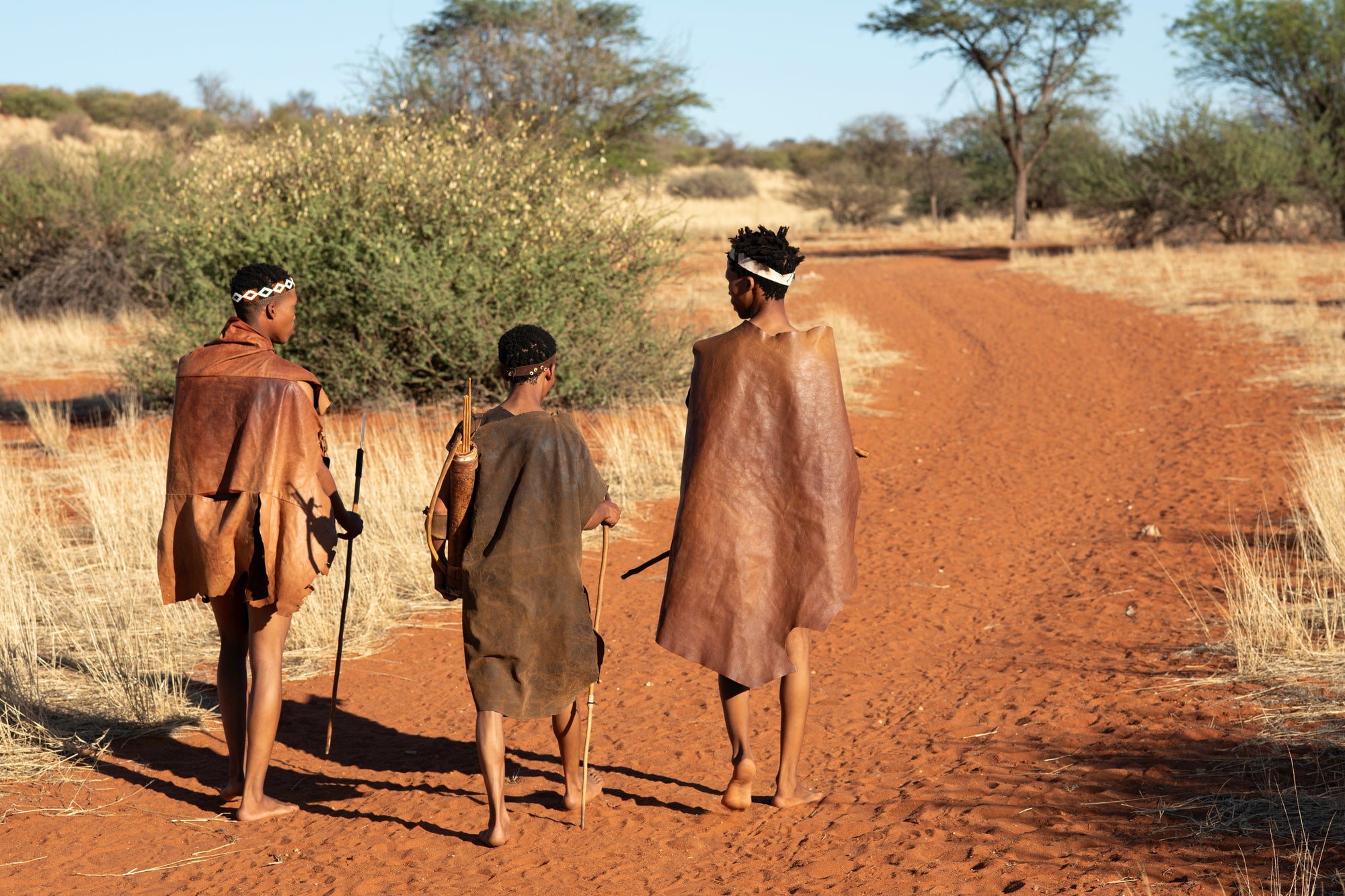 Morning Bushman Walk