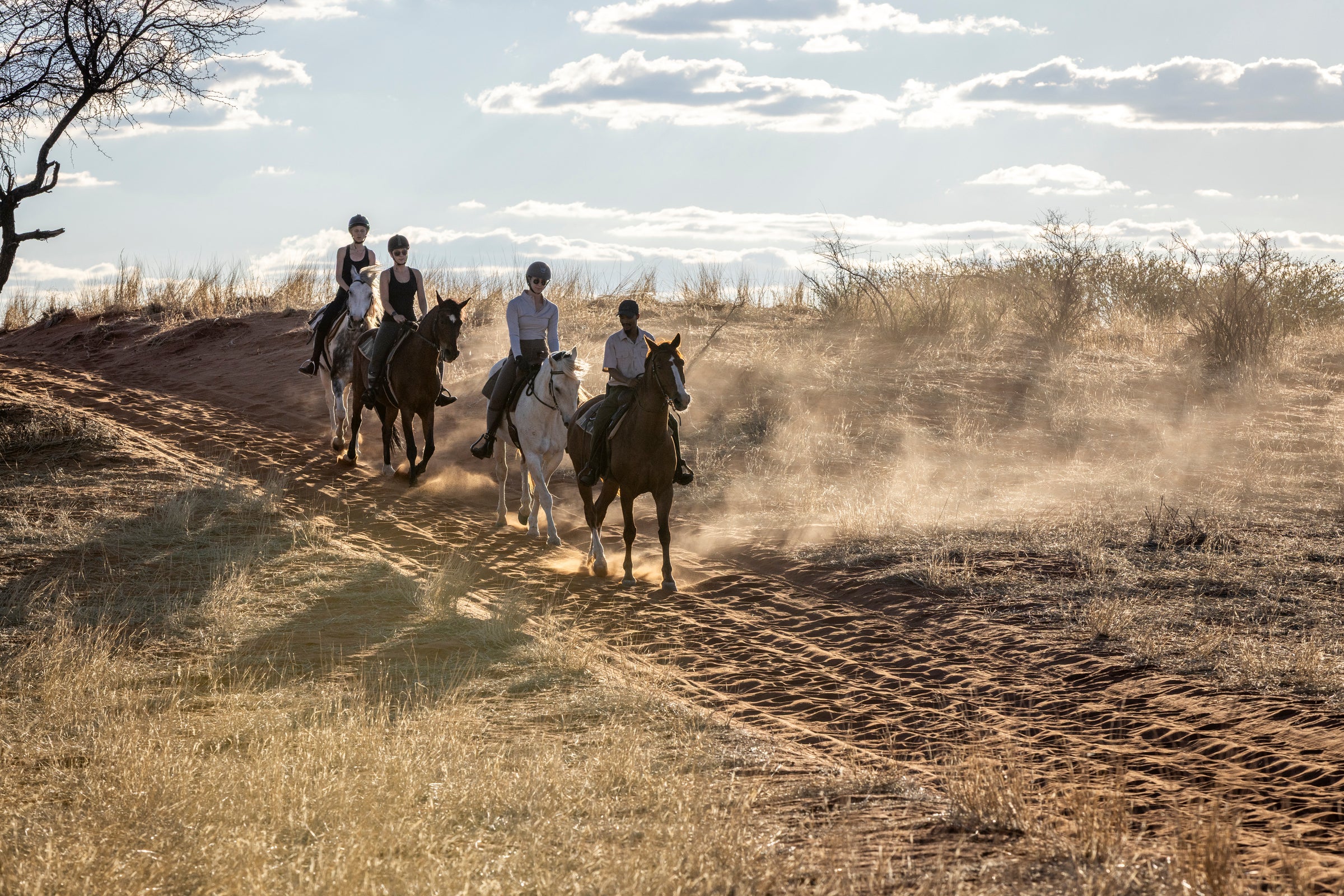 Horseback Safari