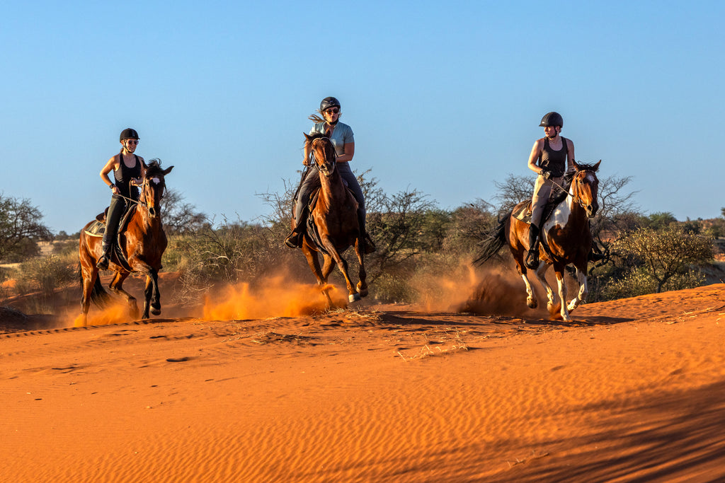 Horseback Safari