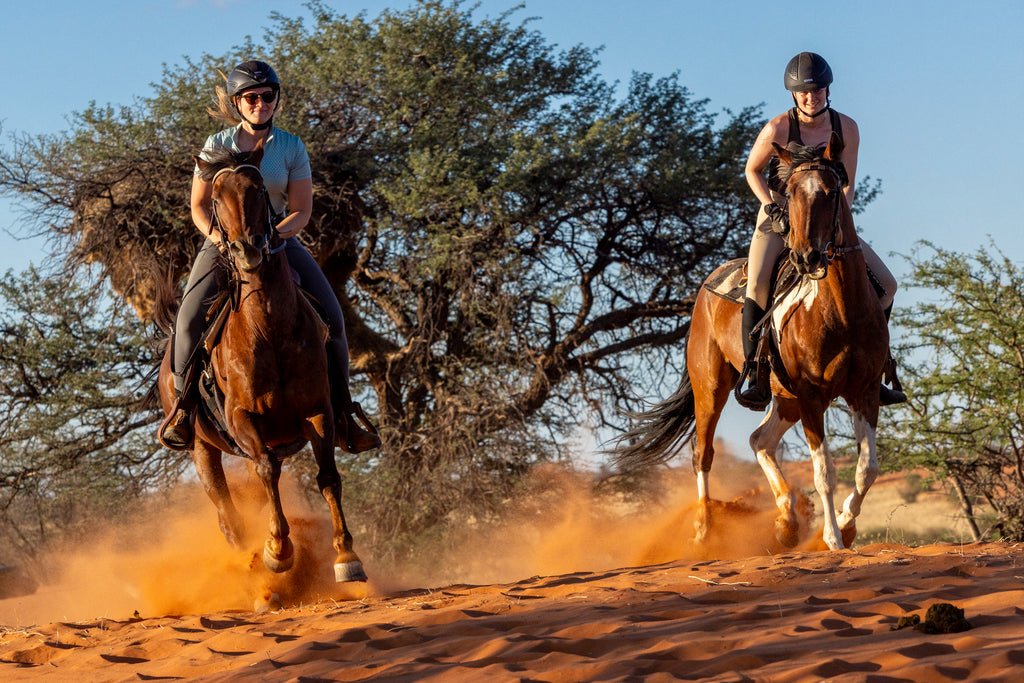 Horseback Safari