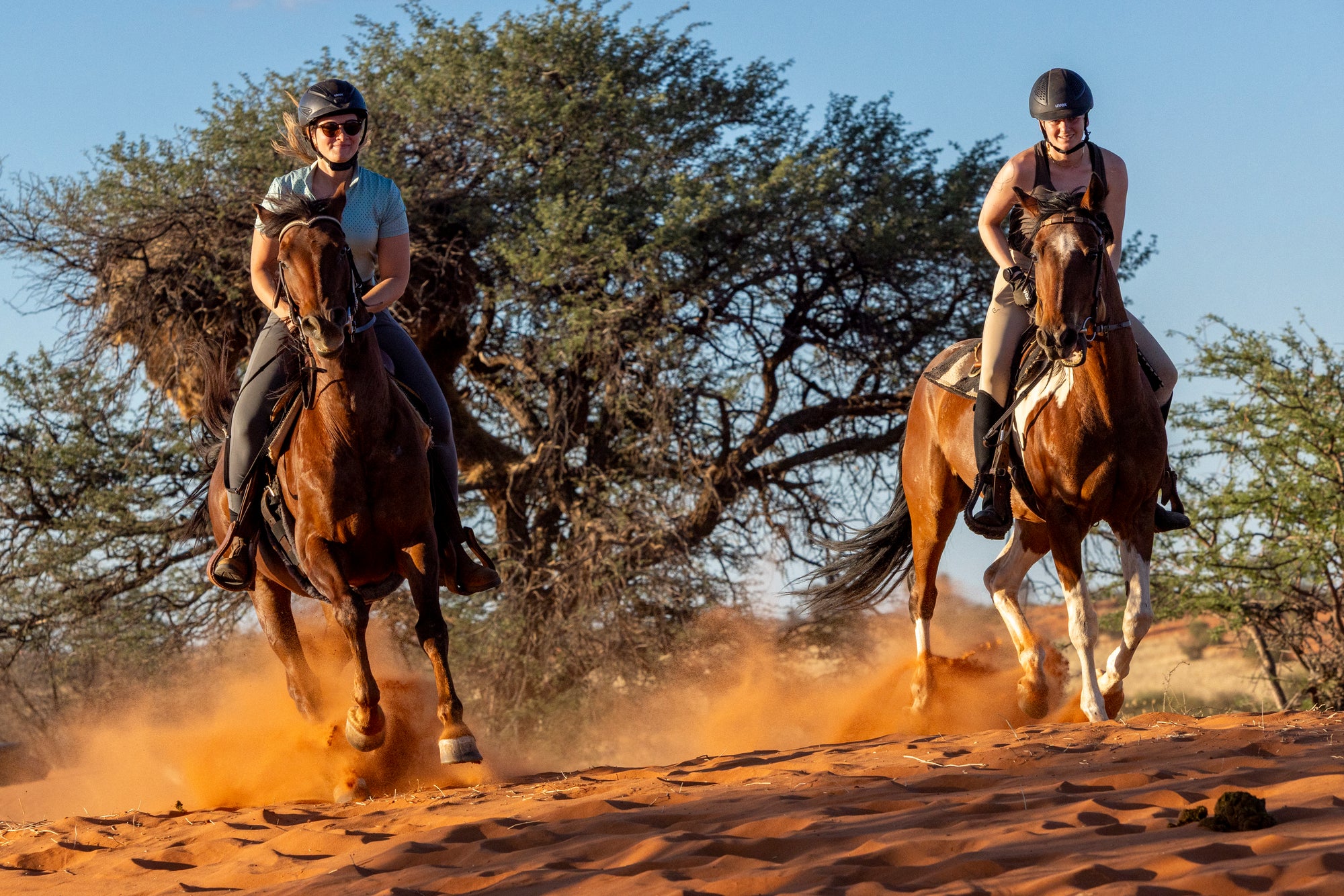 Horseback Safari