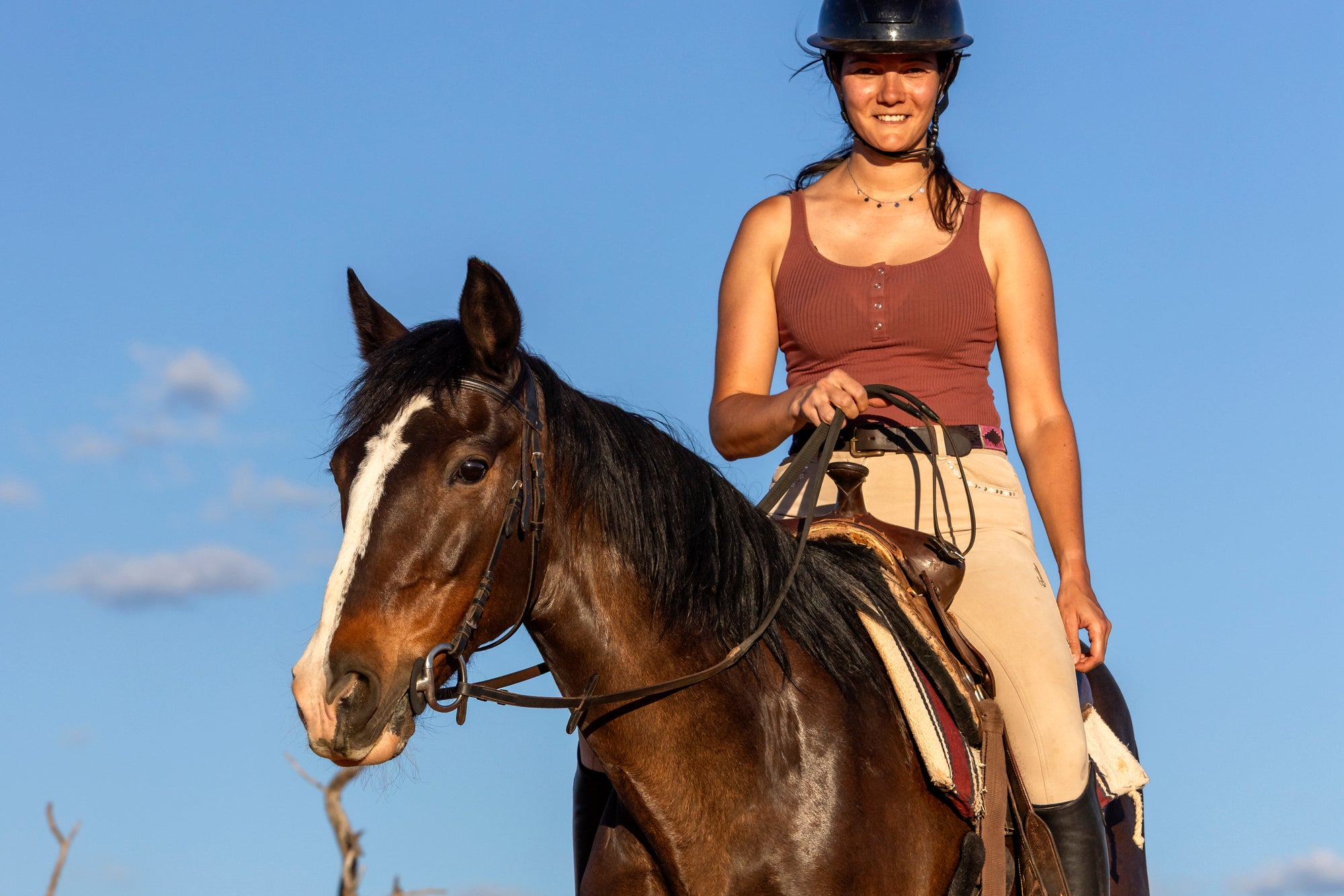 Horseback Safari