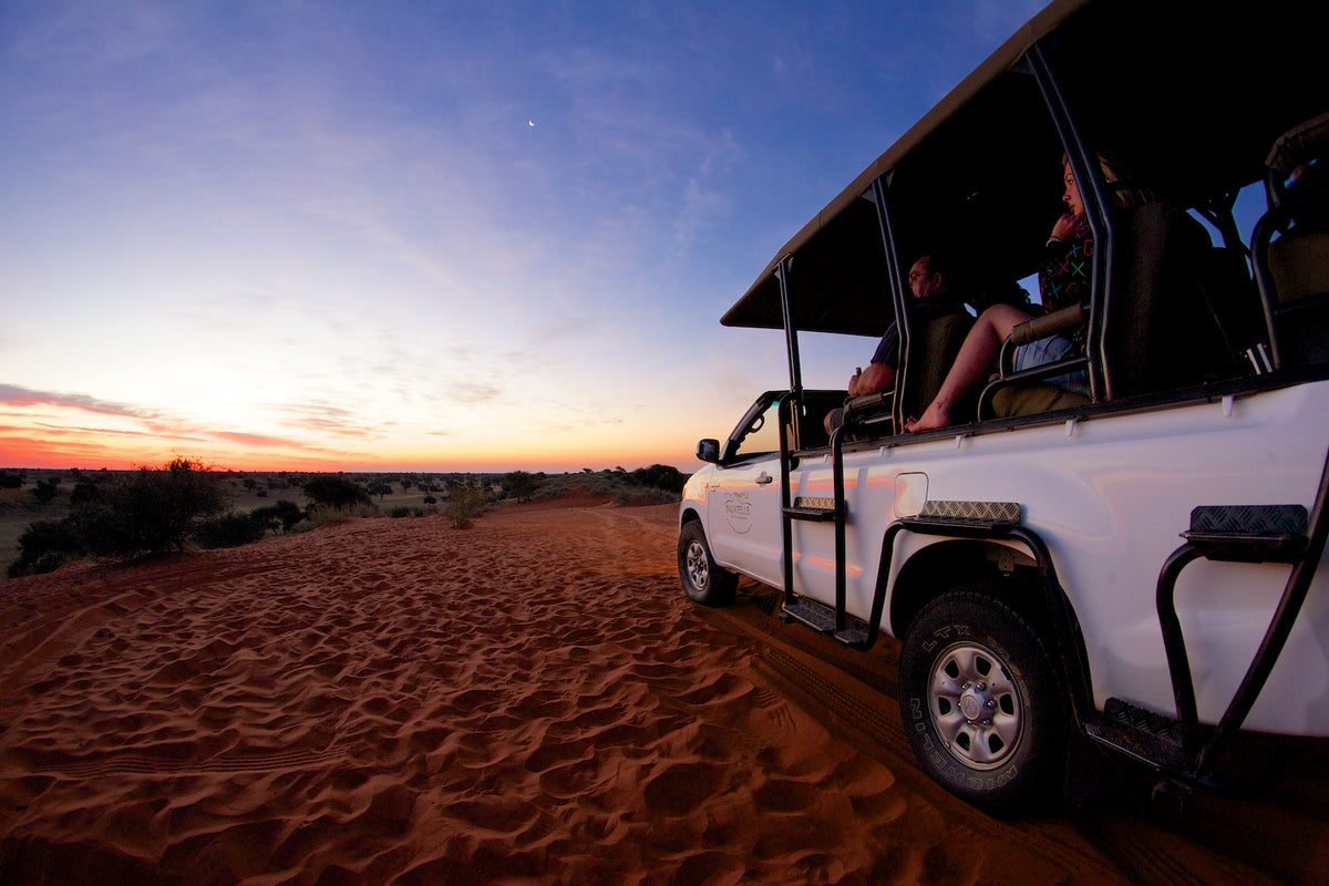Night Game Drive
