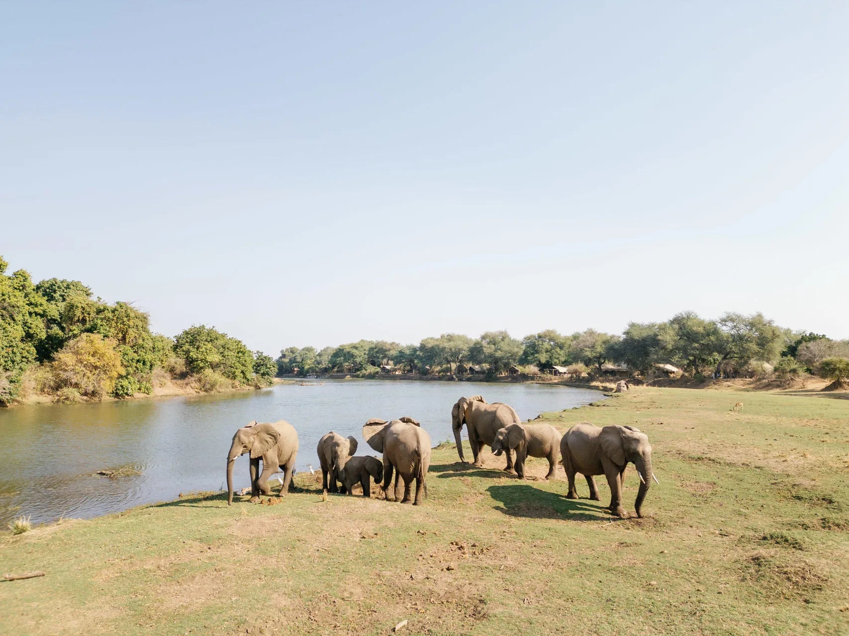 Time + Tide Chongwe Camp at Time + Tide Chongwe Camp, Lower Zambezi, Zambia.