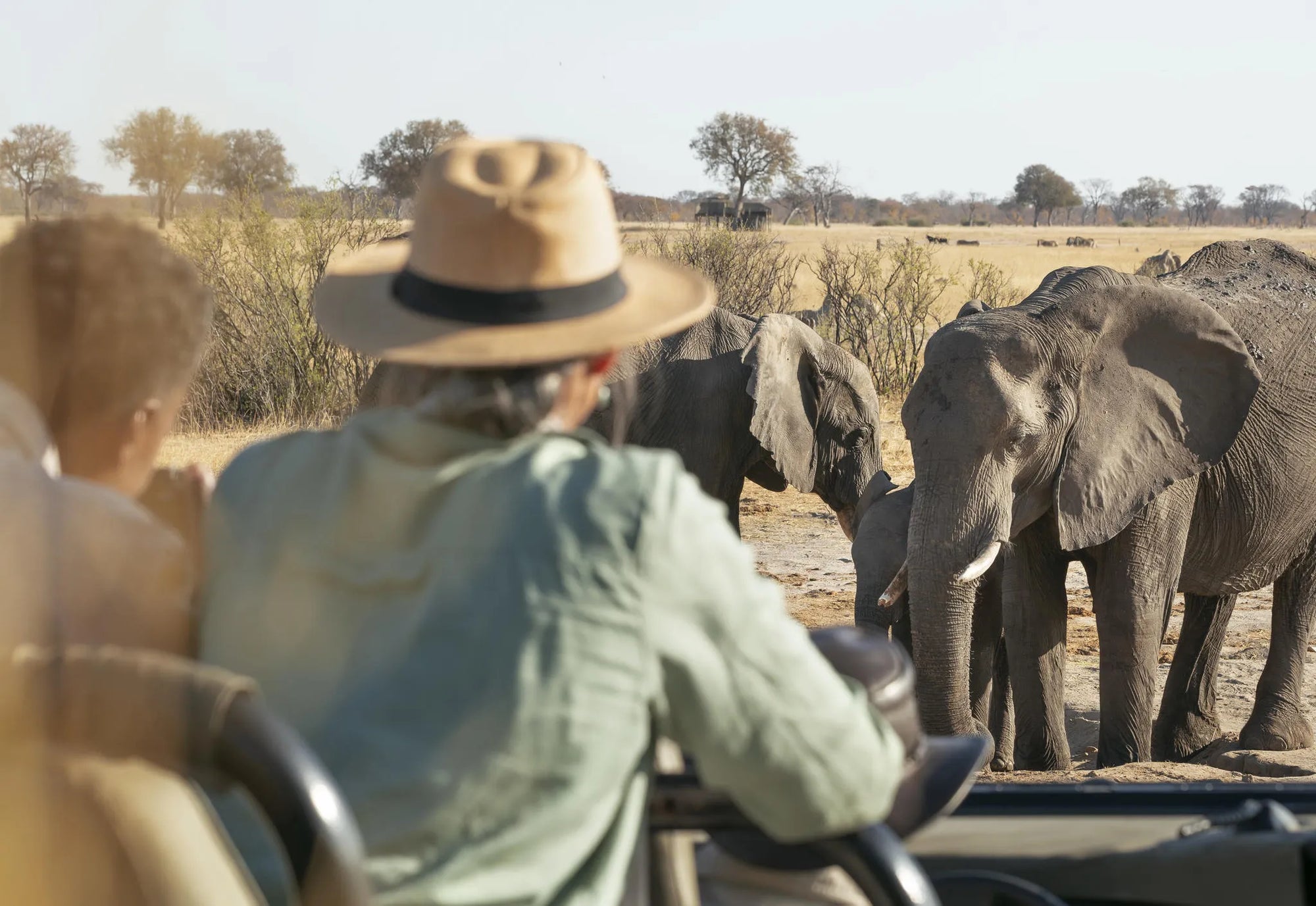 Wilderness Linkwasha at Wilderness Linkwasha, Hwange National Park, Zimbabwe.