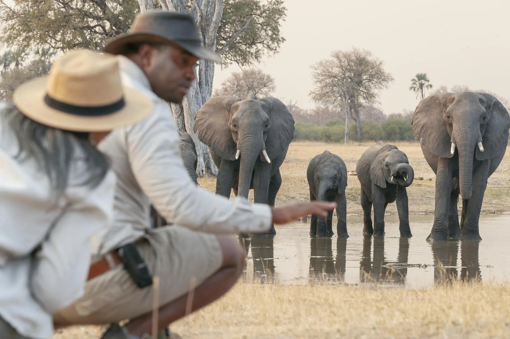 Wilderness Linkwasha at Wilderness Linkwasha, Hwange National Park, Zimbabwe.