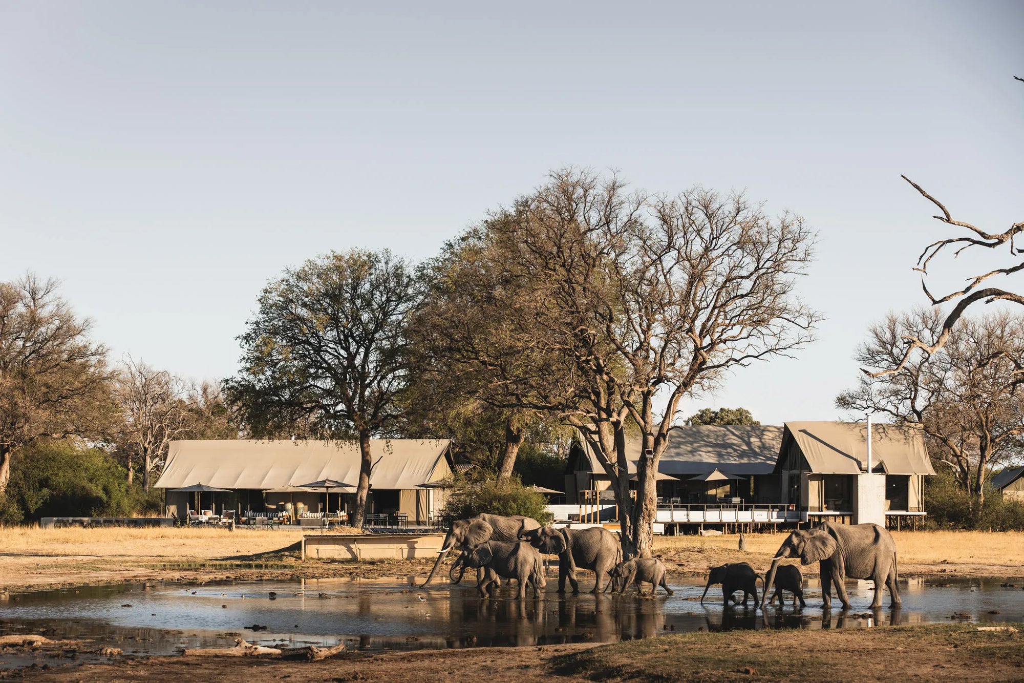 Wilderness Linkwasha at Wilderness Linkwasha, Hwange National Park, Zimbabwe.