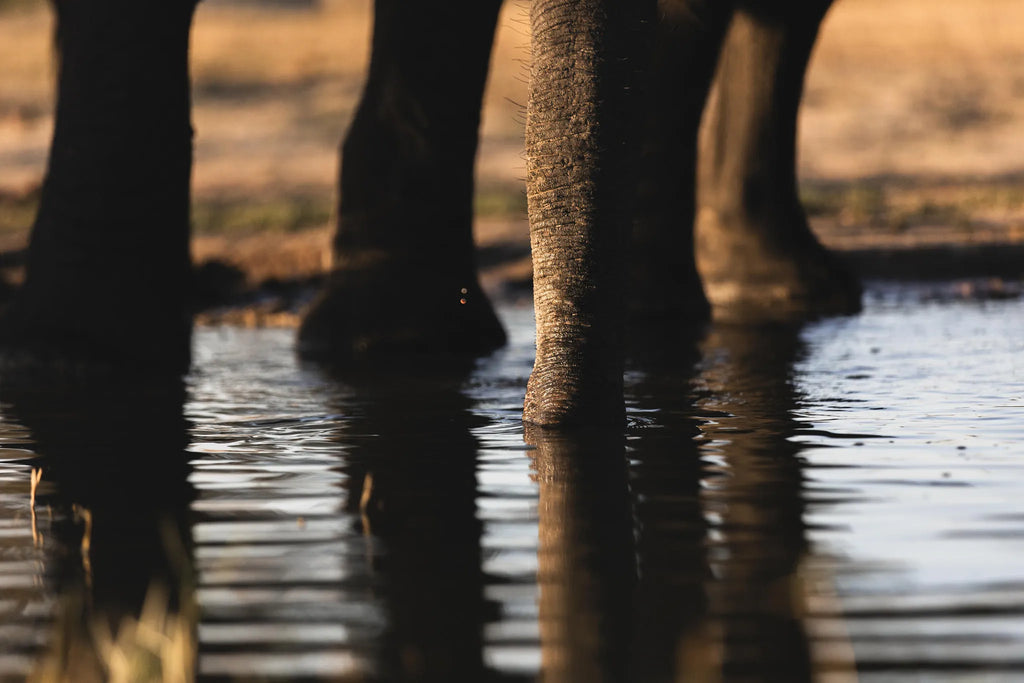Gallery image 10.