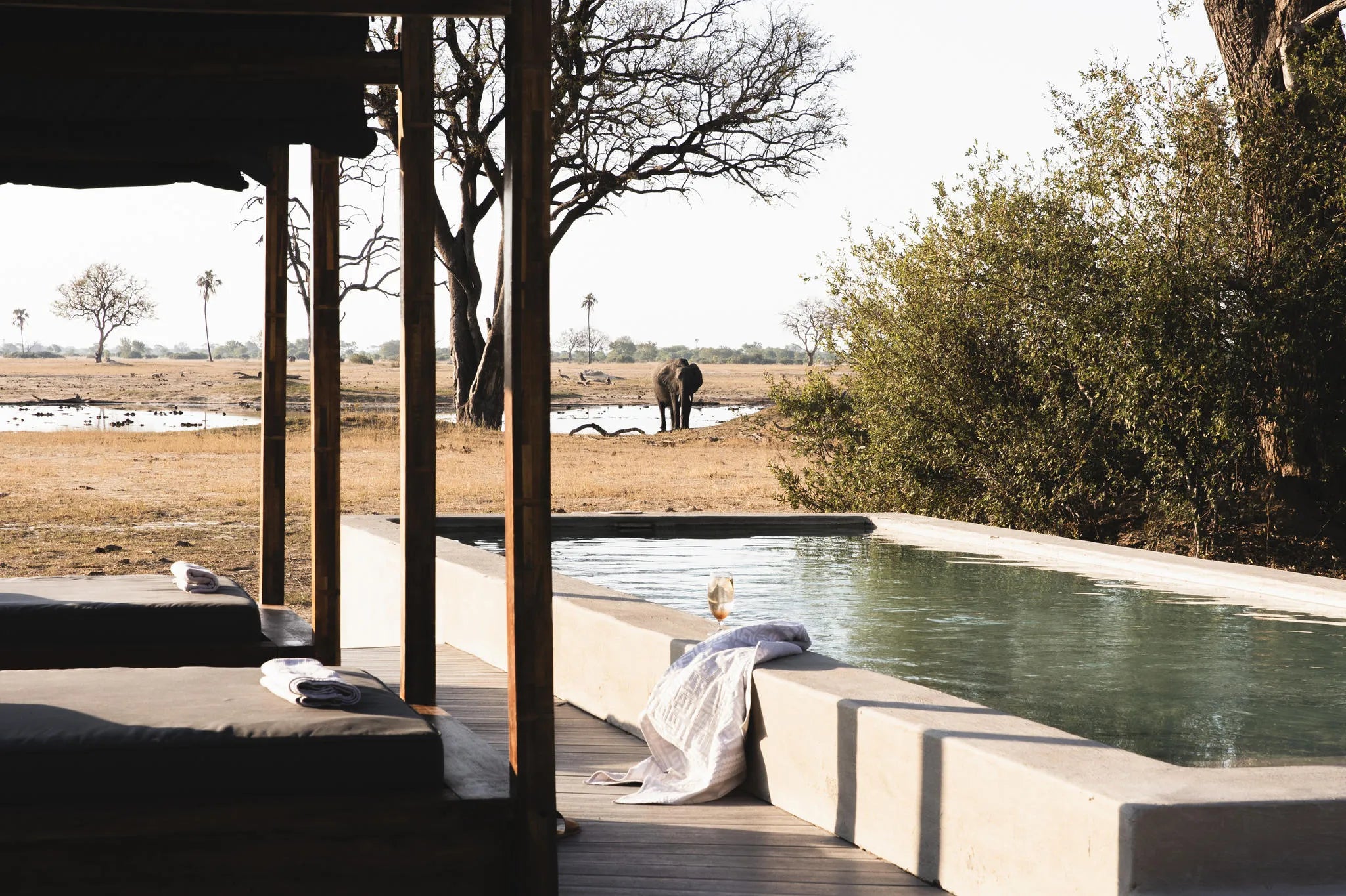 Wilderness Linkwasha at Wilderness Linkwasha, Hwange National Park, Zimbabwe.