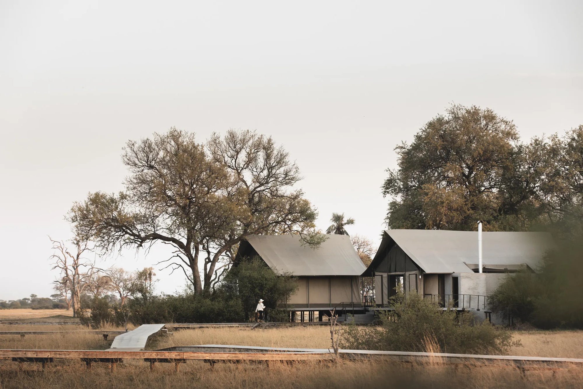 Wilderness Linkwasha at Wilderness Linkwasha, Hwange National Park, Zimbabwe.