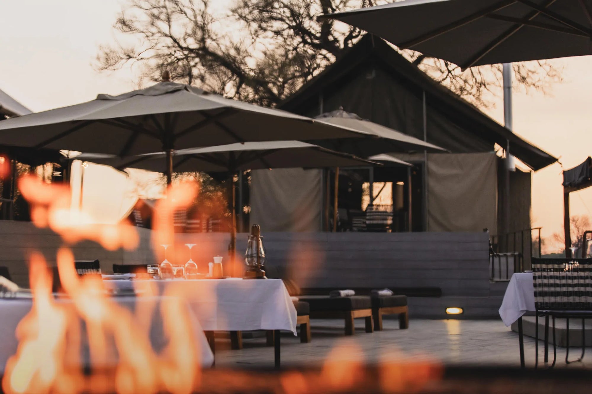 Wilderness Linkwasha at Wilderness Linkwasha, Hwange National Park, Zimbabwe.