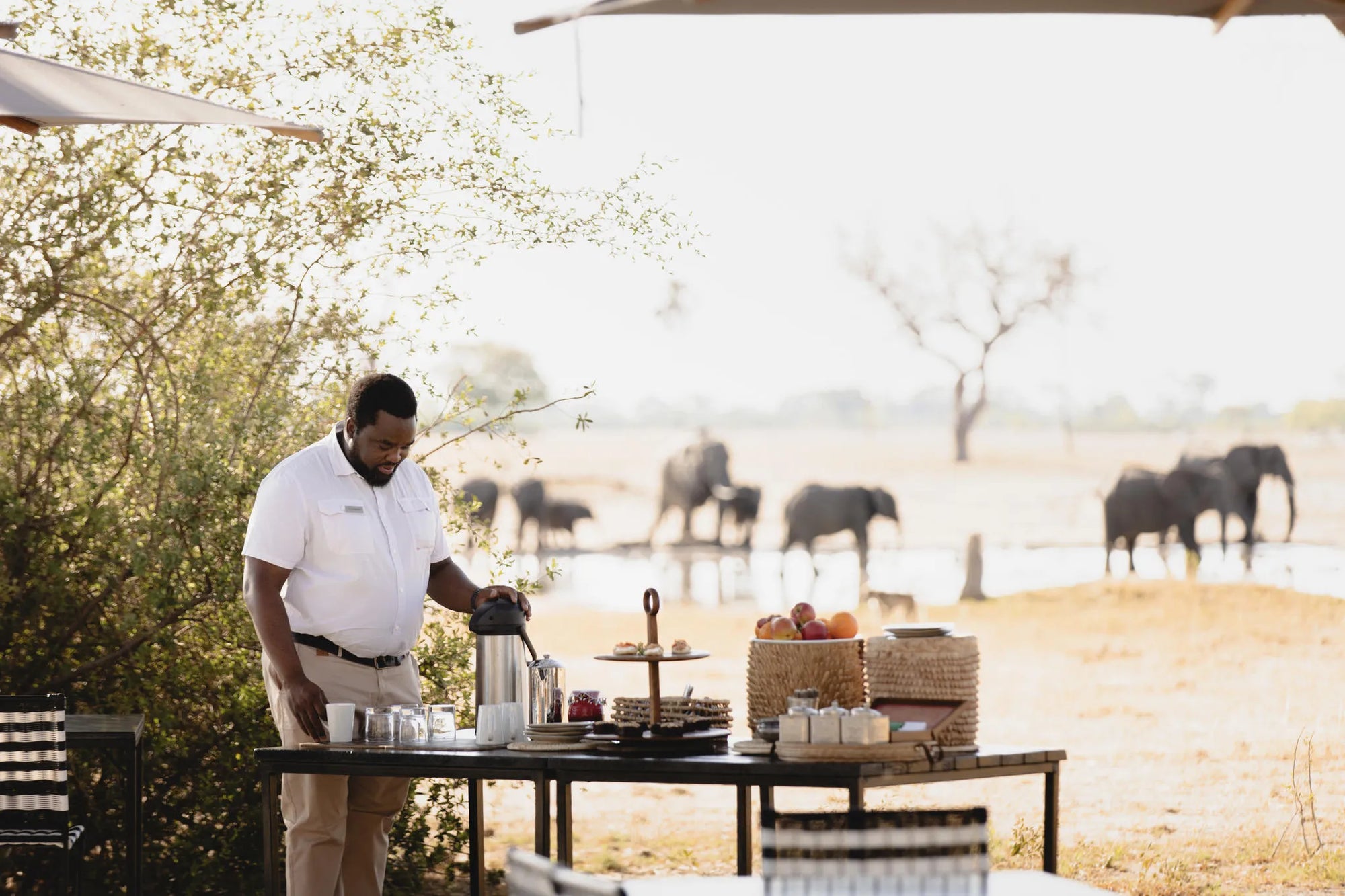 Wilderness Linkwasha at Wilderness Linkwasha, Hwange National Park, Zimbabwe.