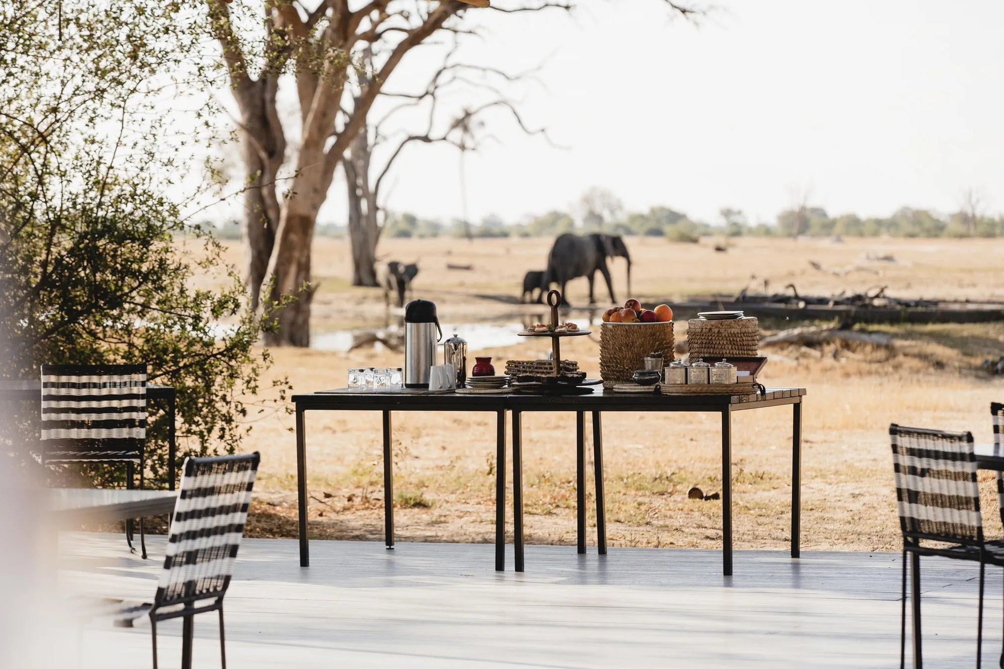 Wilderness Linkwasha at Wilderness Linkwasha, Hwange National Park, Zimbabwe.