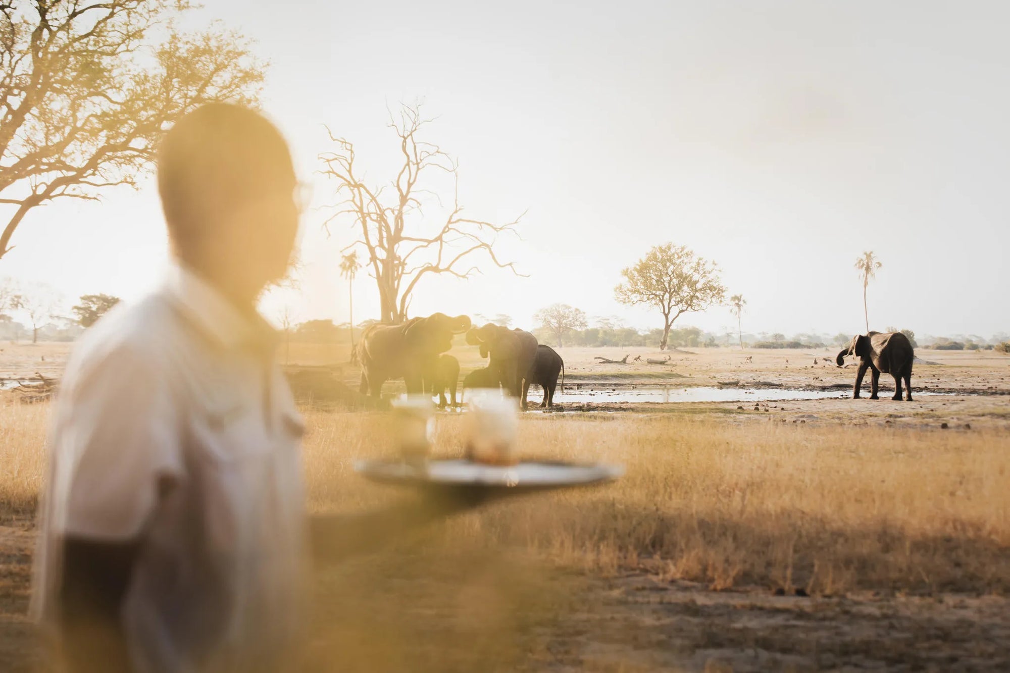 Wilderness Linkwasha at Wilderness Linkwasha, Hwange National Park, Zimbabwe.