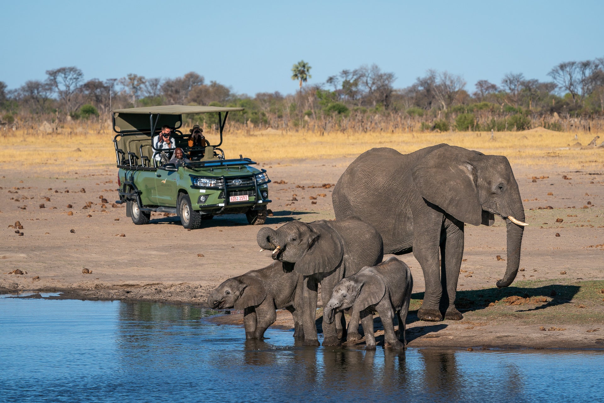 Wilderness Linkwasha – Game Drives 