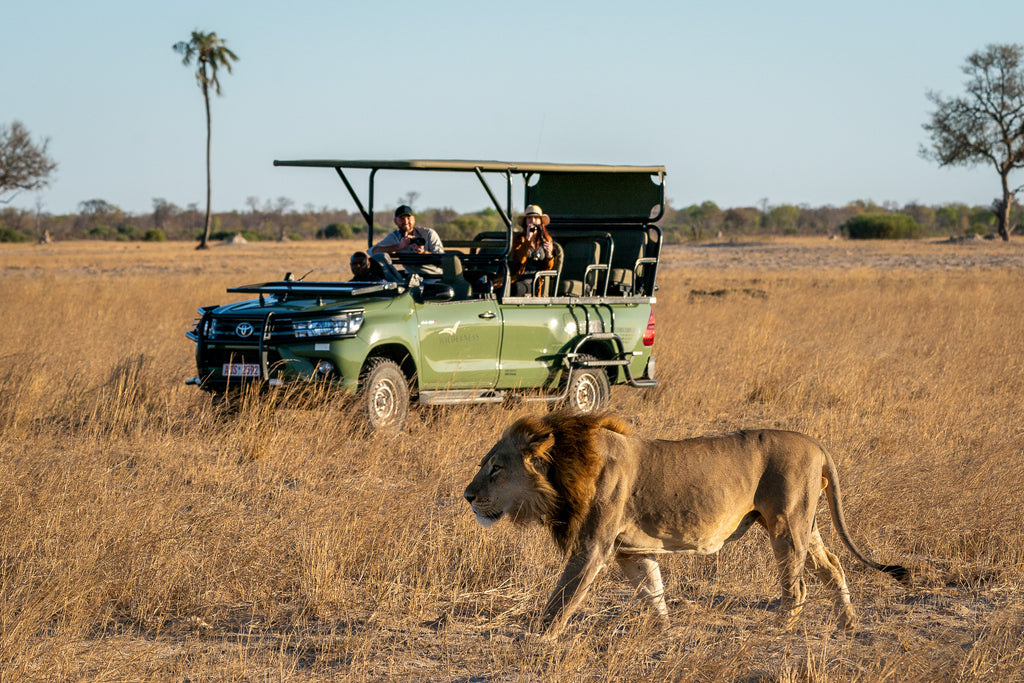 Wilderness Linkwasha – Game Drives 
