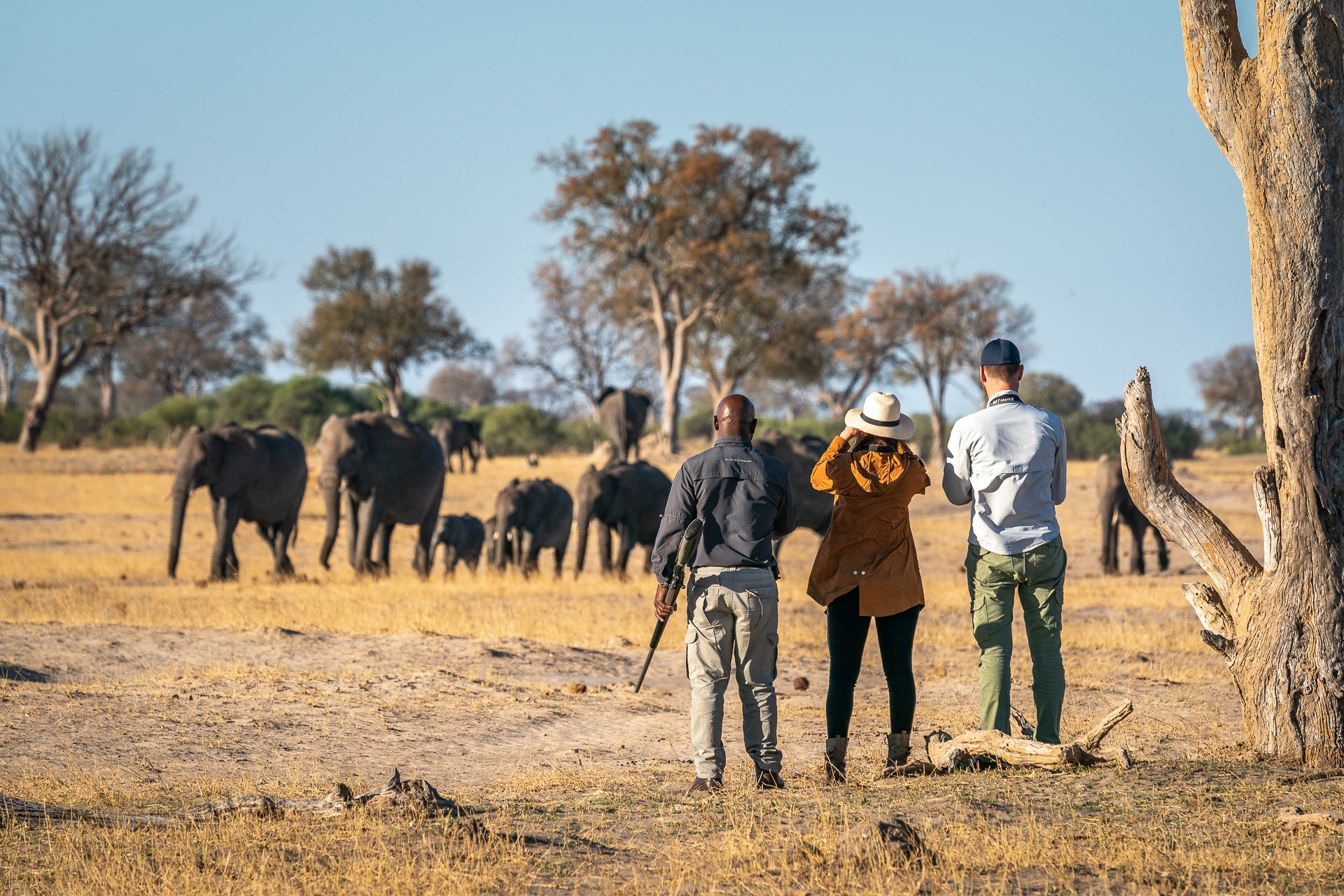 Wilderness Linkwasha – Guided Nature Walks 