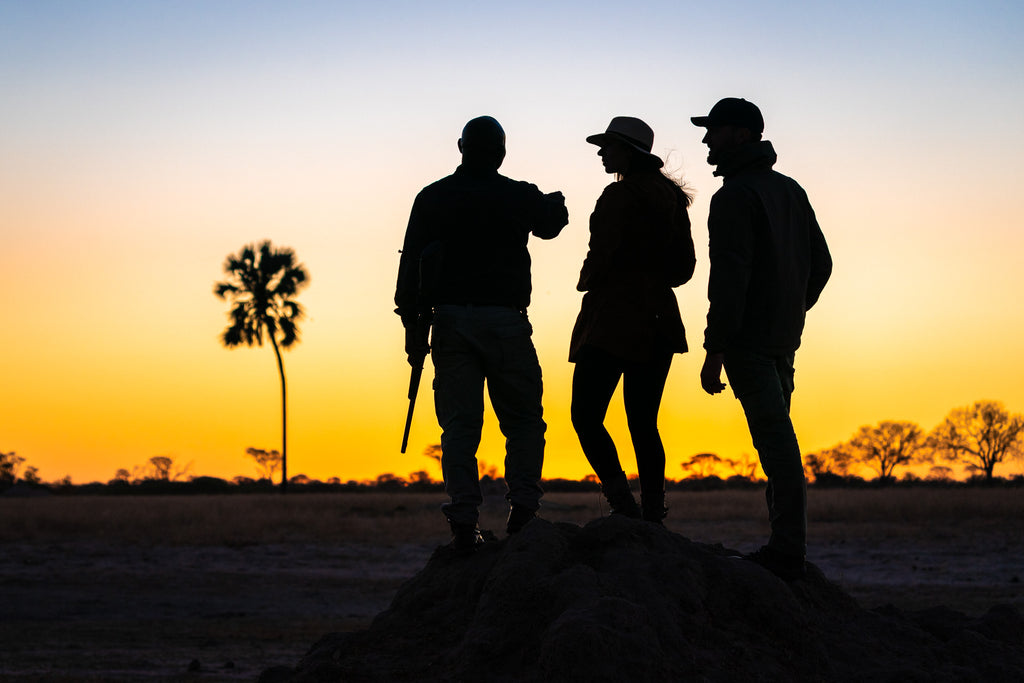 Wilderness Linkwasha – Guided Nature Walks 