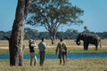 Wilderness Linkwasha – Guided Nature Walks 