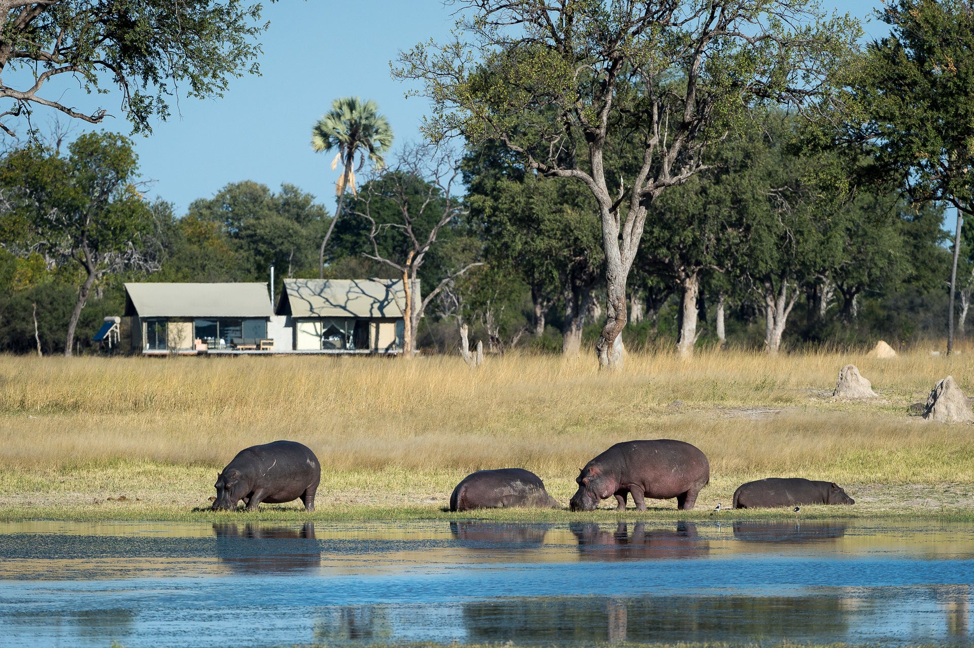 Family Accommodation 