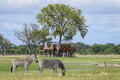 Wilderness Linkwasha – Star Bed At Scott’s Pan *
