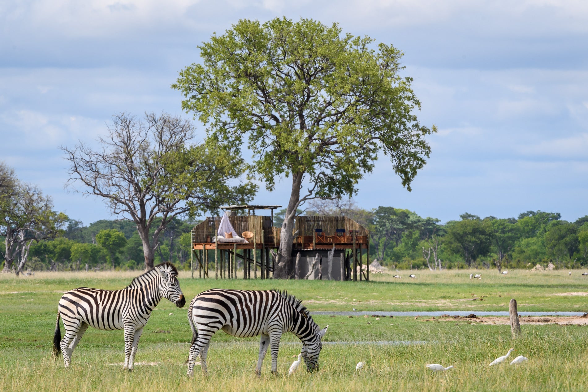 Wilderness Linkwasha – Star Bed At Scott’s Pan *