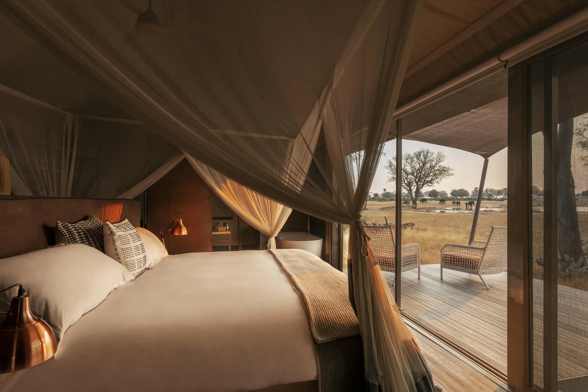 Wilderness Linkwasha at Wilderness Linkwasha, Hwange National Park, Zimbabwe.