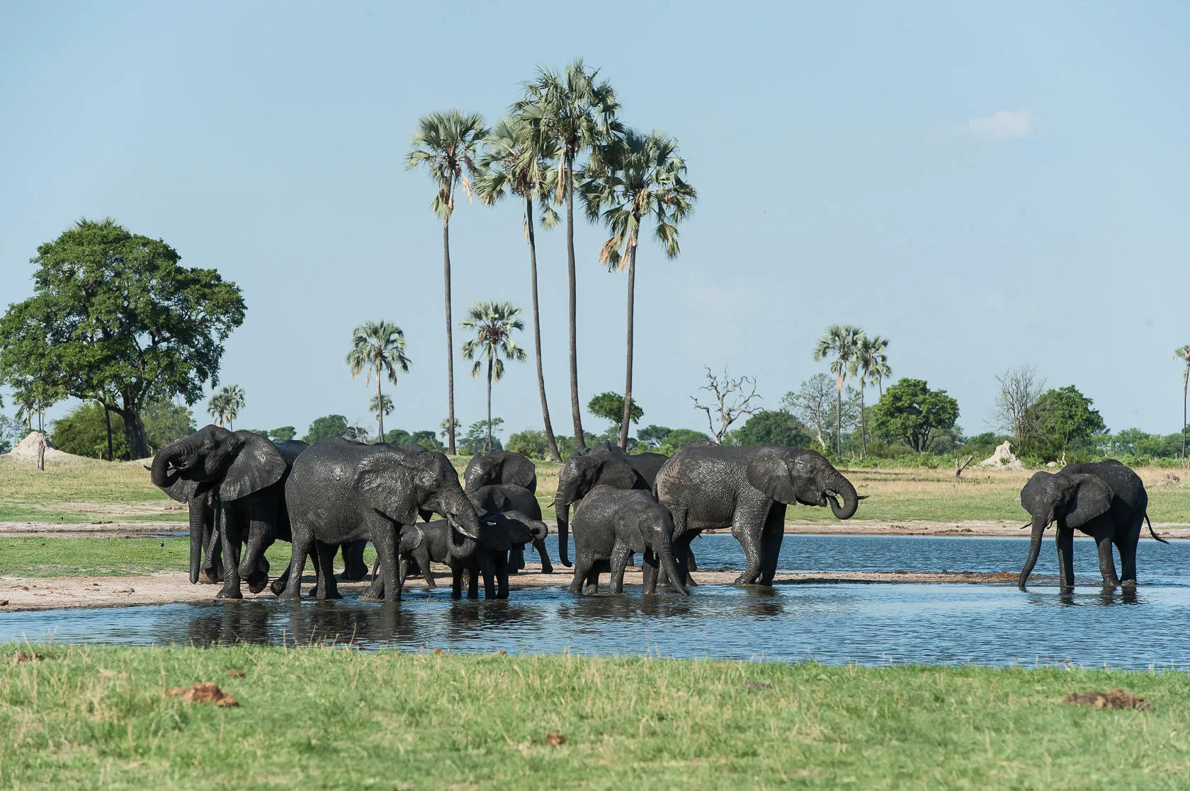 Wilderness Linkwasha at Wilderness Linkwasha, Hwange National Park, Zimbabwe.