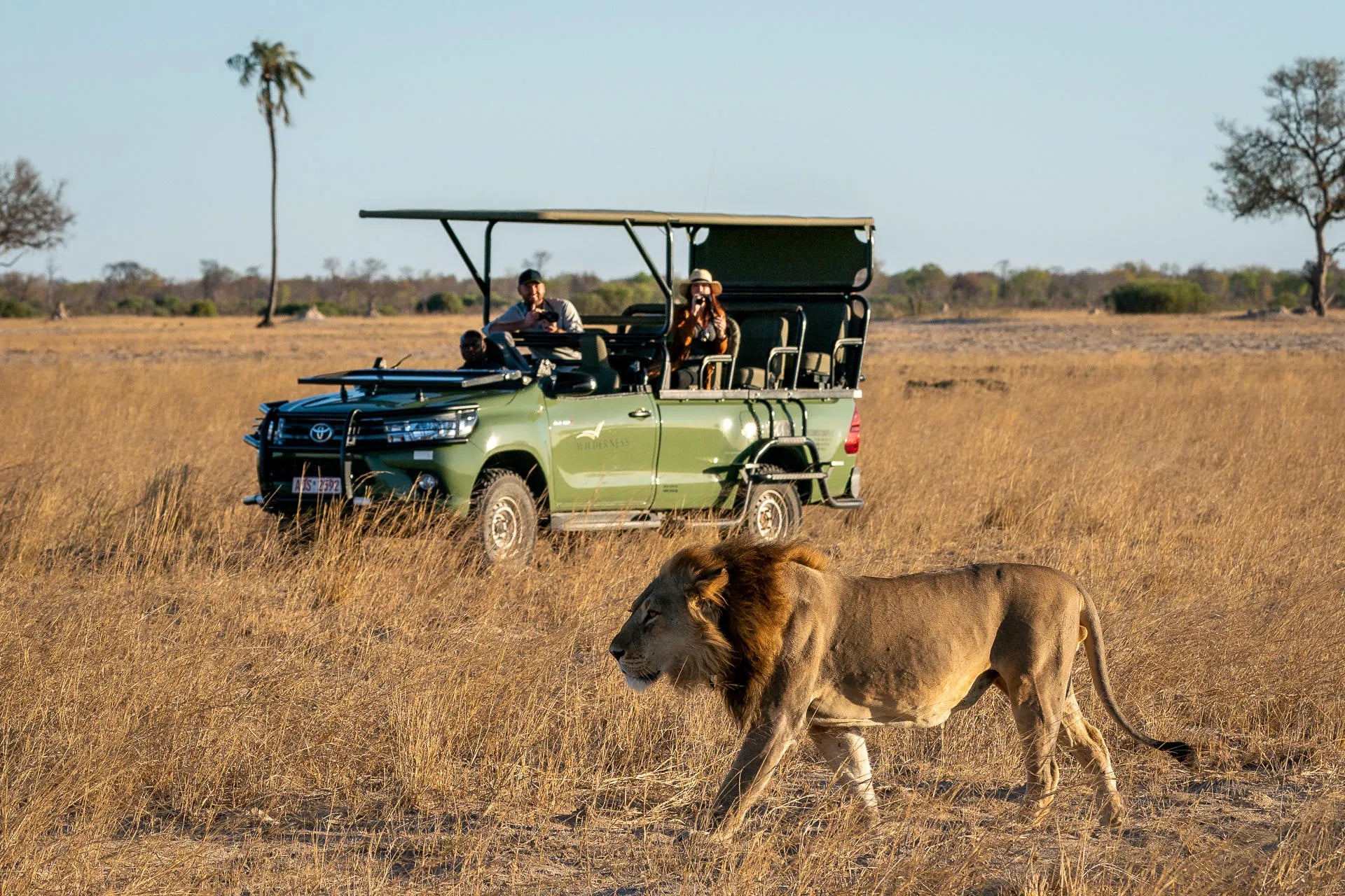 Activities at Wilderness Linkwasha