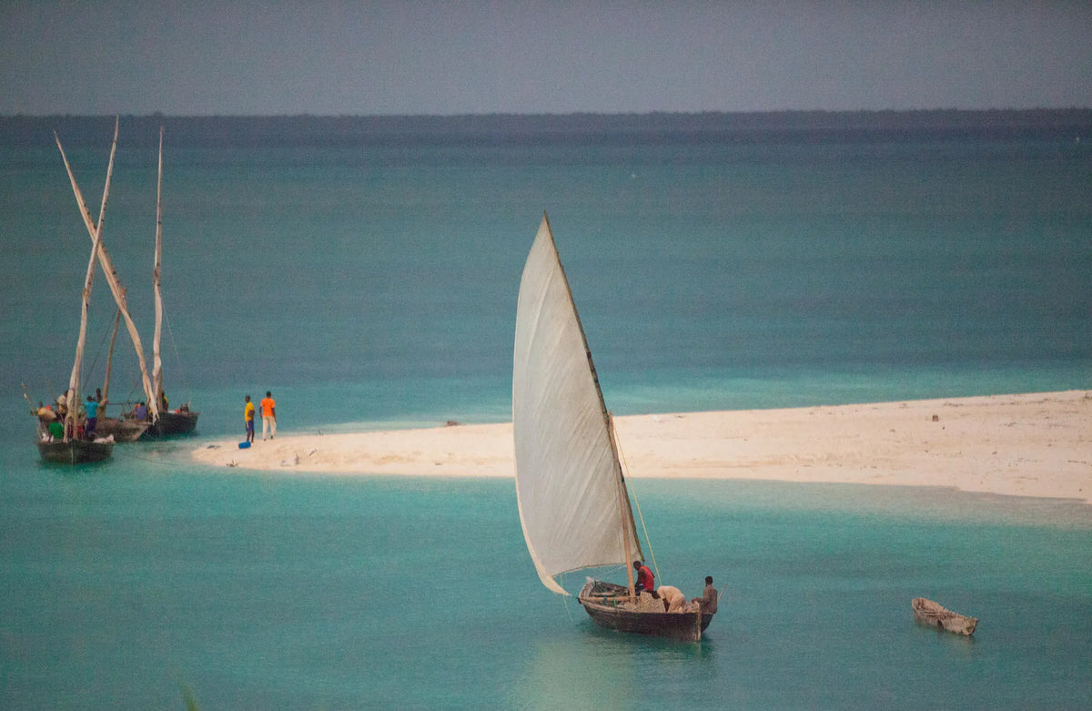 Zanzibar encounters