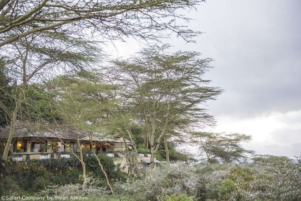 Exterior Hatari Lodge