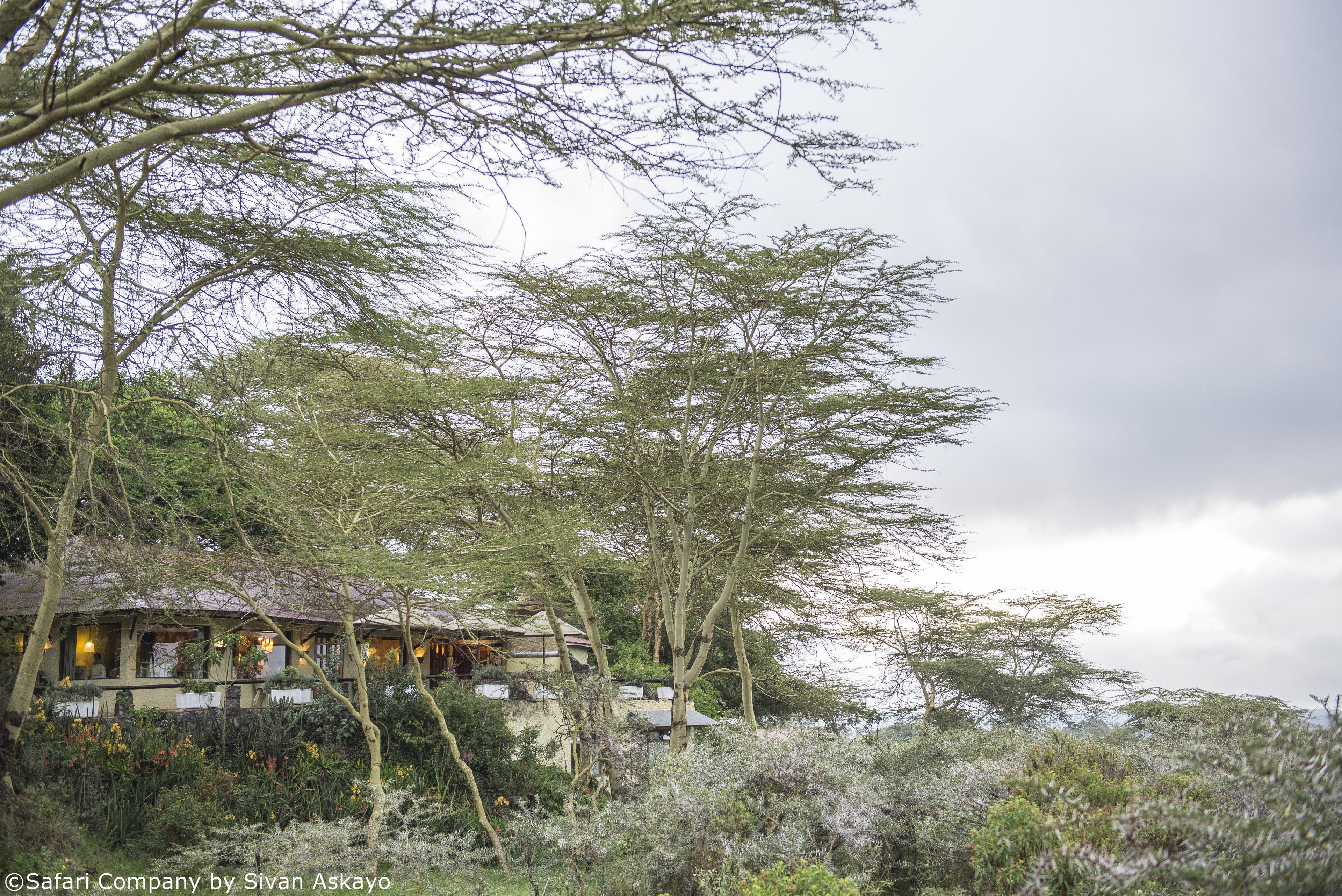 Exterior Hatari Lodge