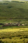 Featured image.