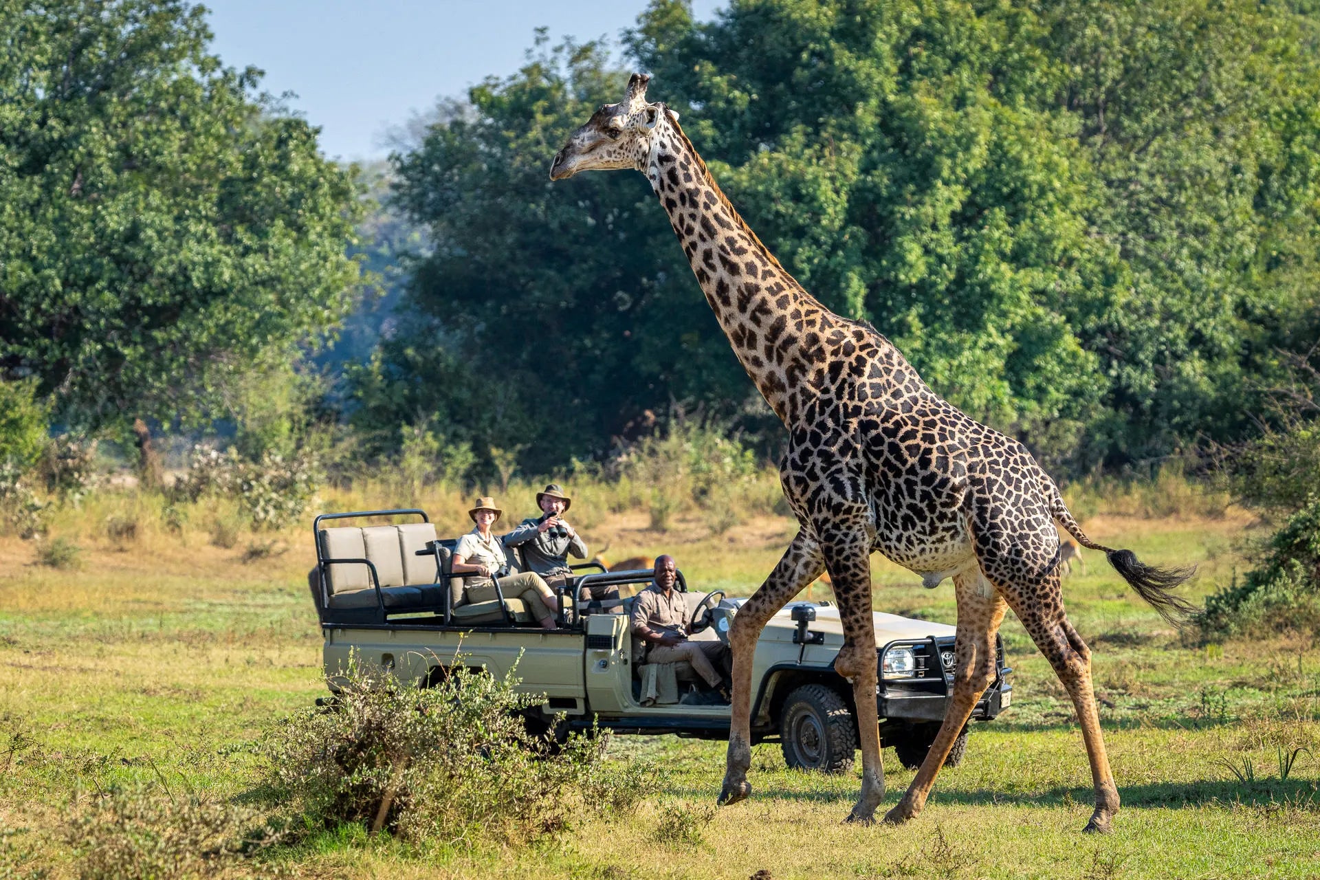 Luangwa Safari House at Luangwa Safari House, South Luangwa National Park, Zambia.