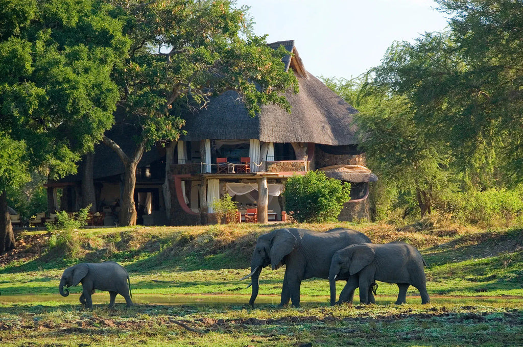 Luangwa Safari House at Luangwa Safari House, South Luangwa National Park, Zambia.