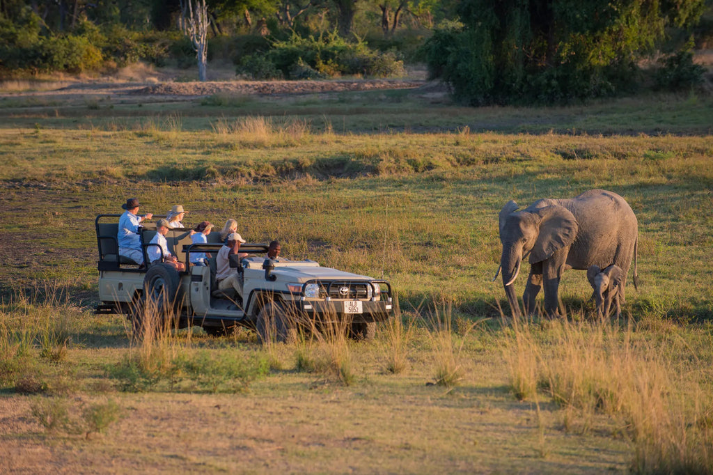 Luangwa Safari House at Luangwa Safari House, South Luangwa National Park, Zambia.