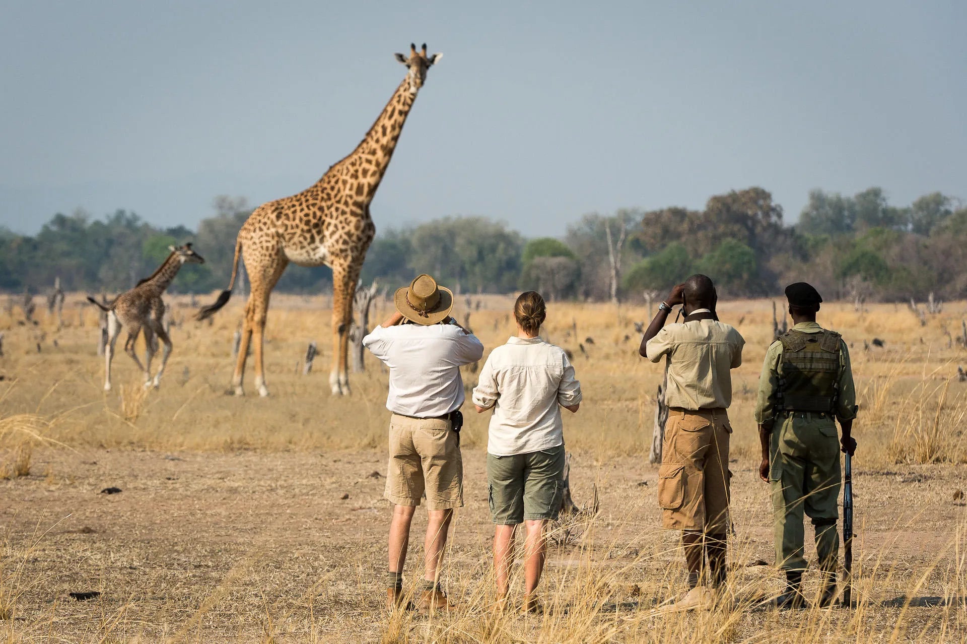 Walking Safaris