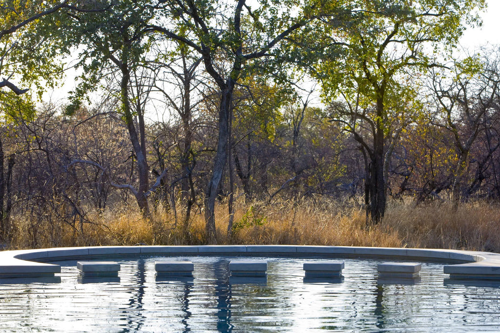 Mushara Bush Camp - Pool at Mushara Bush Camp, Etosha East, Namibia.