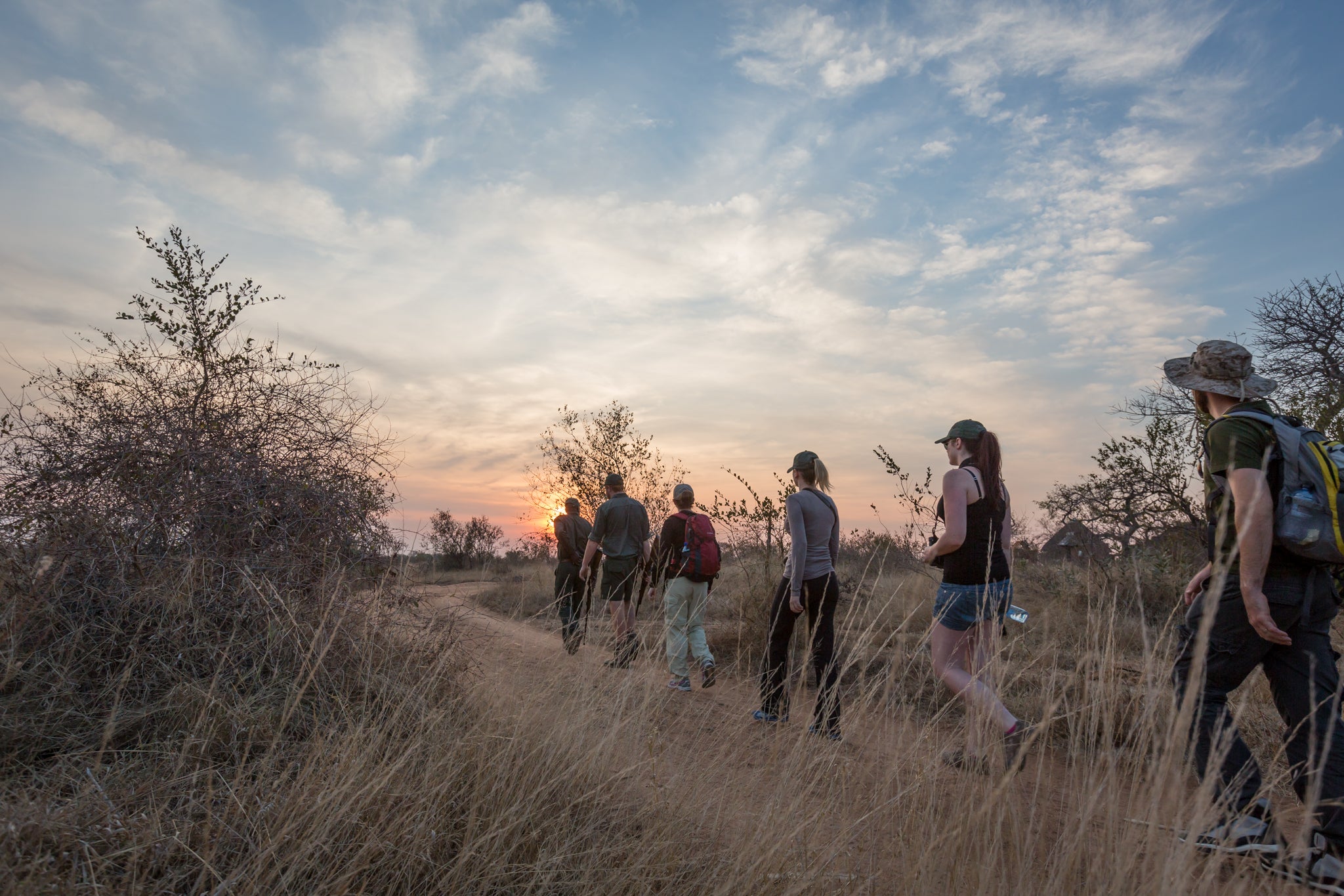 Walking Safari at Sunrise