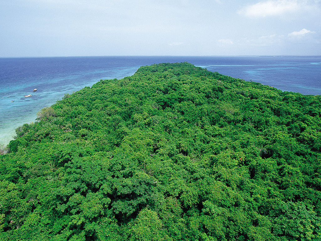 Chumbe Snorkeling (Gallery Tours)