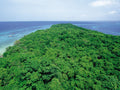 Chumbe Snorkeling (Gallery Tours)