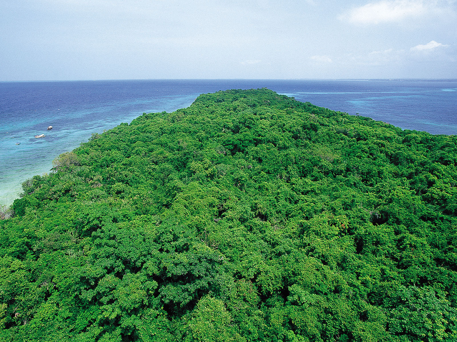 Chumbe Snorkeling (Gallery Tours)