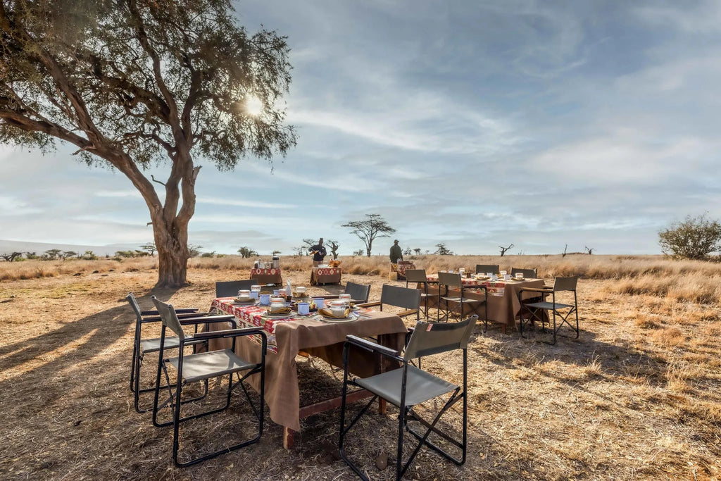 Elewana Lewa Safari Camp at Elewana Lewa Safari Camp, Lewa Conservancy, Kenya.