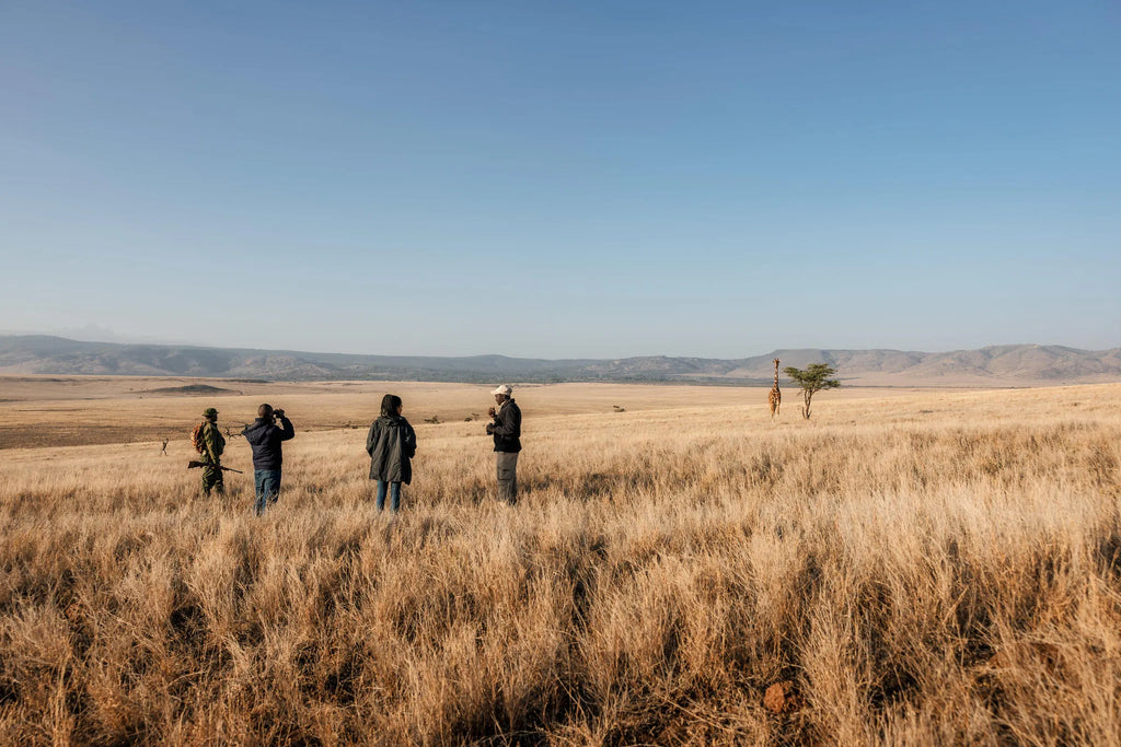 Elewana Lewa Safari Camp at Elewana Lewa Safari Camp, Lewa Conservancy, Kenya.
