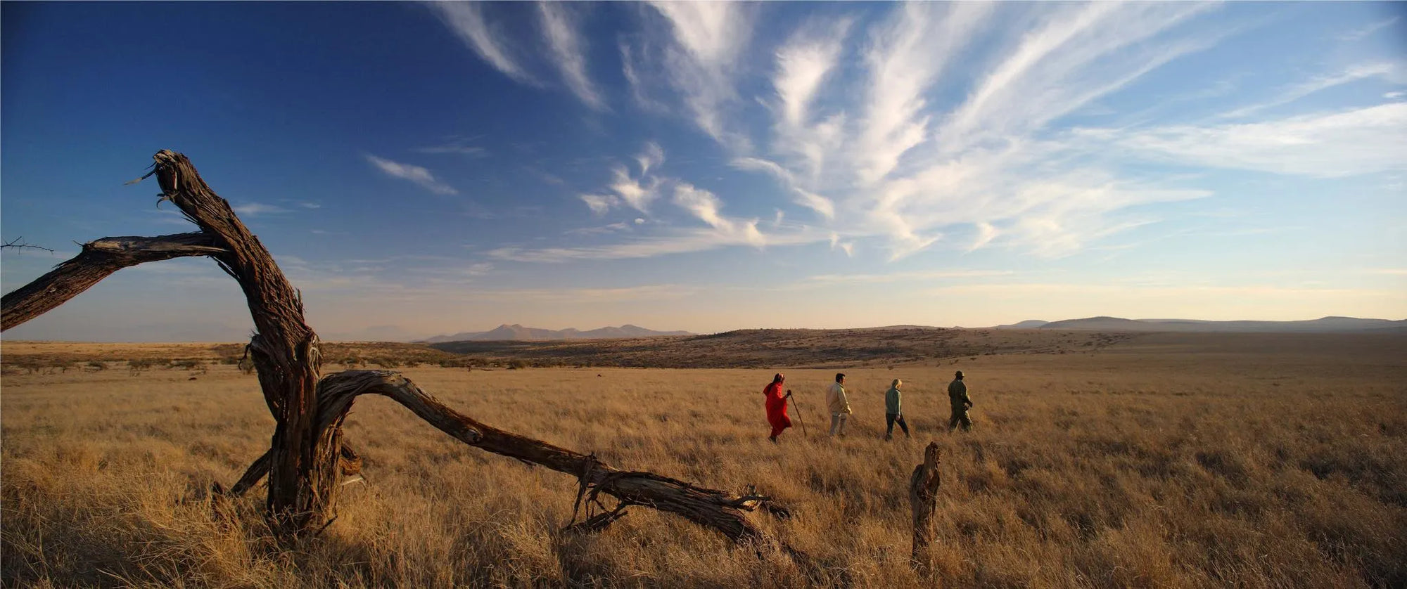 Elewana Lewa Safari Camp at Elewana Lewa Safari Camp, Lewa Conservancy, Kenya.